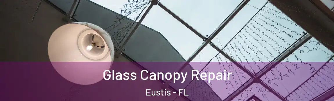  Glass Canopy Repair Eustis - FL