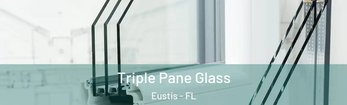  Triple Pane Glass Eustis - FL