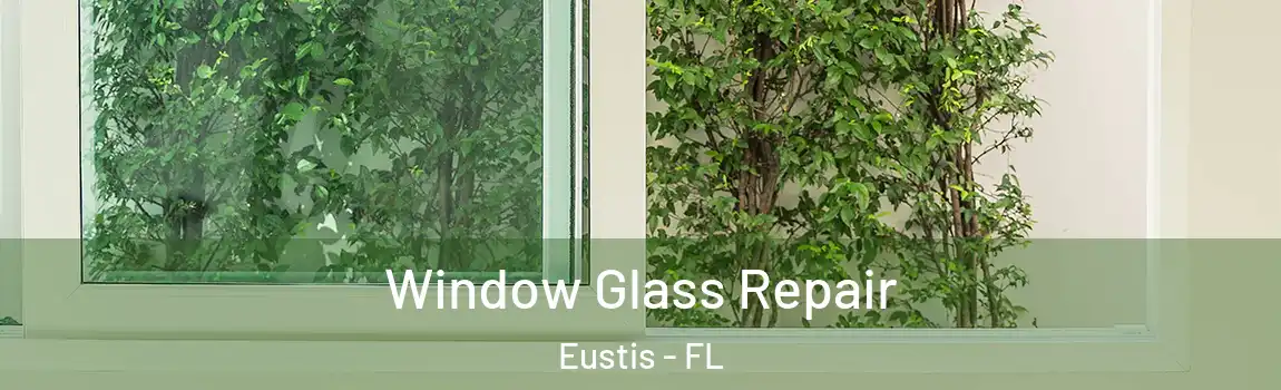 Window Glass Repair Eustis - FL